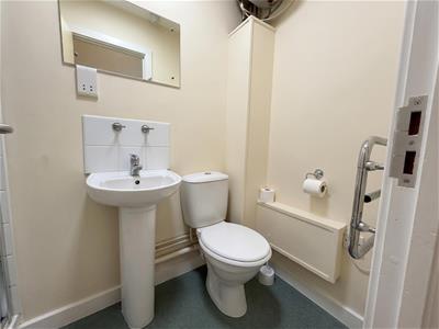 Picture 7